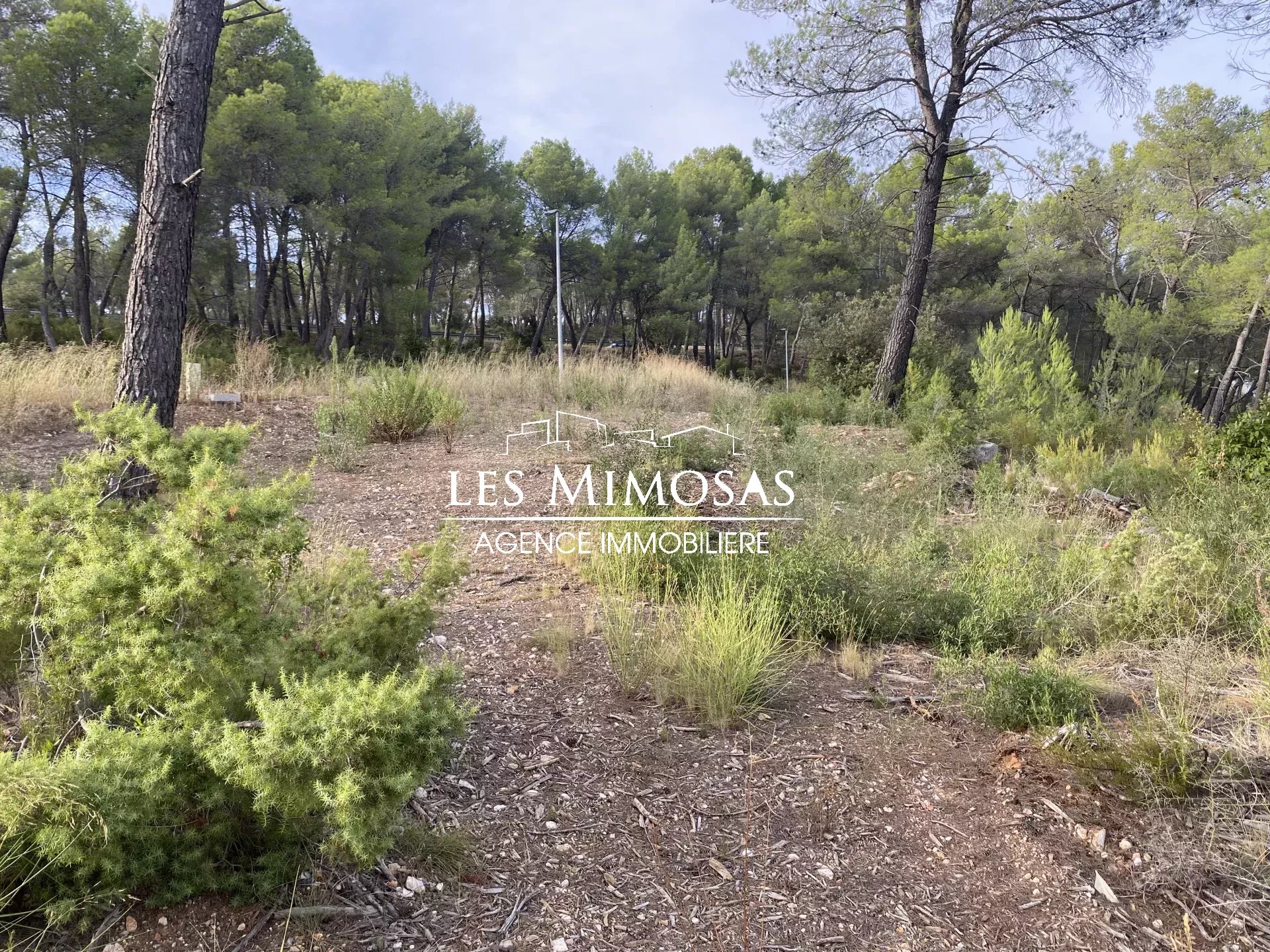 SALERNES, Terrains à bâtir viabilisés dans lotissement