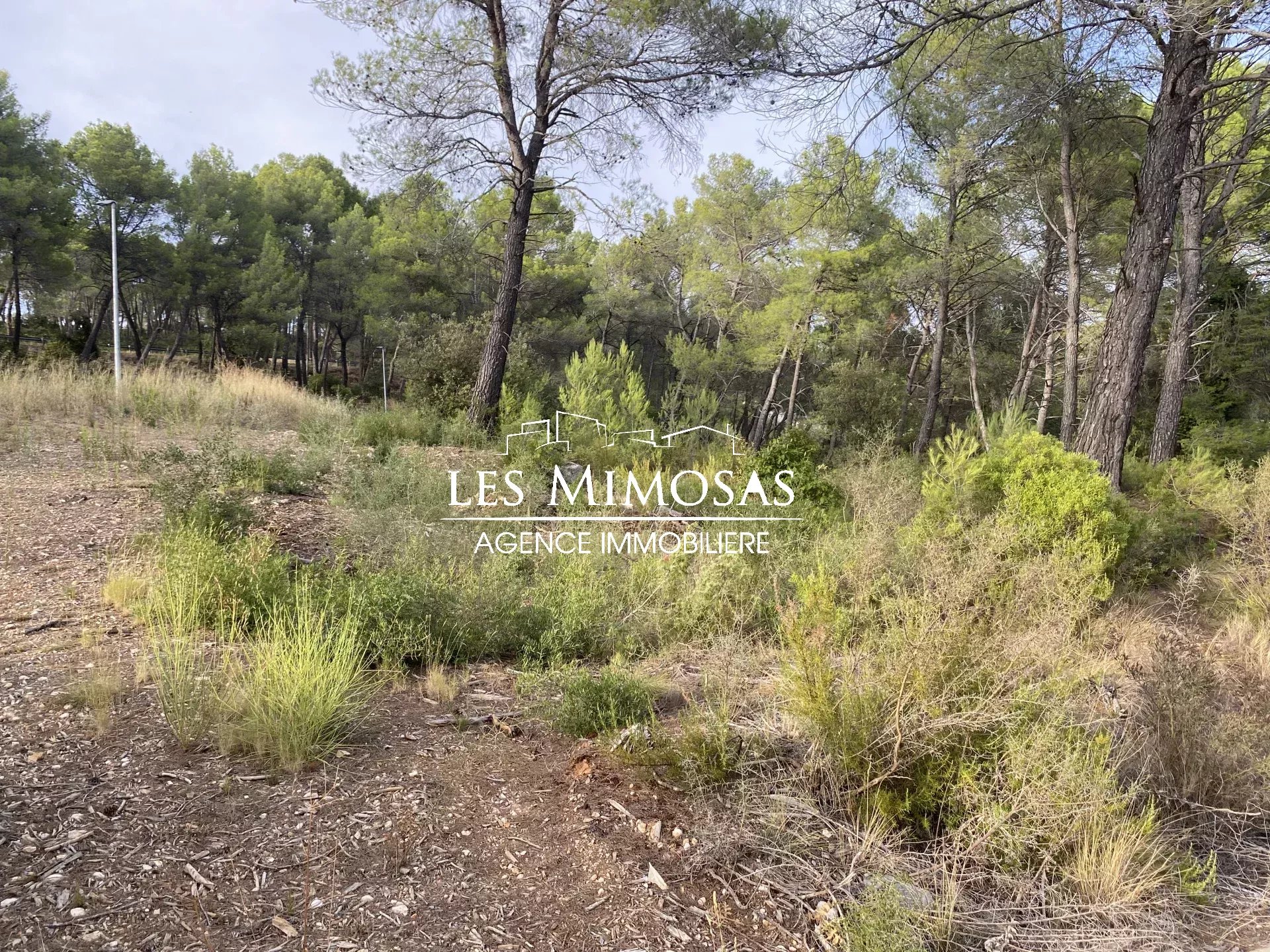 SALERNES, Terrains à bâtir viabilisés dans lotissement