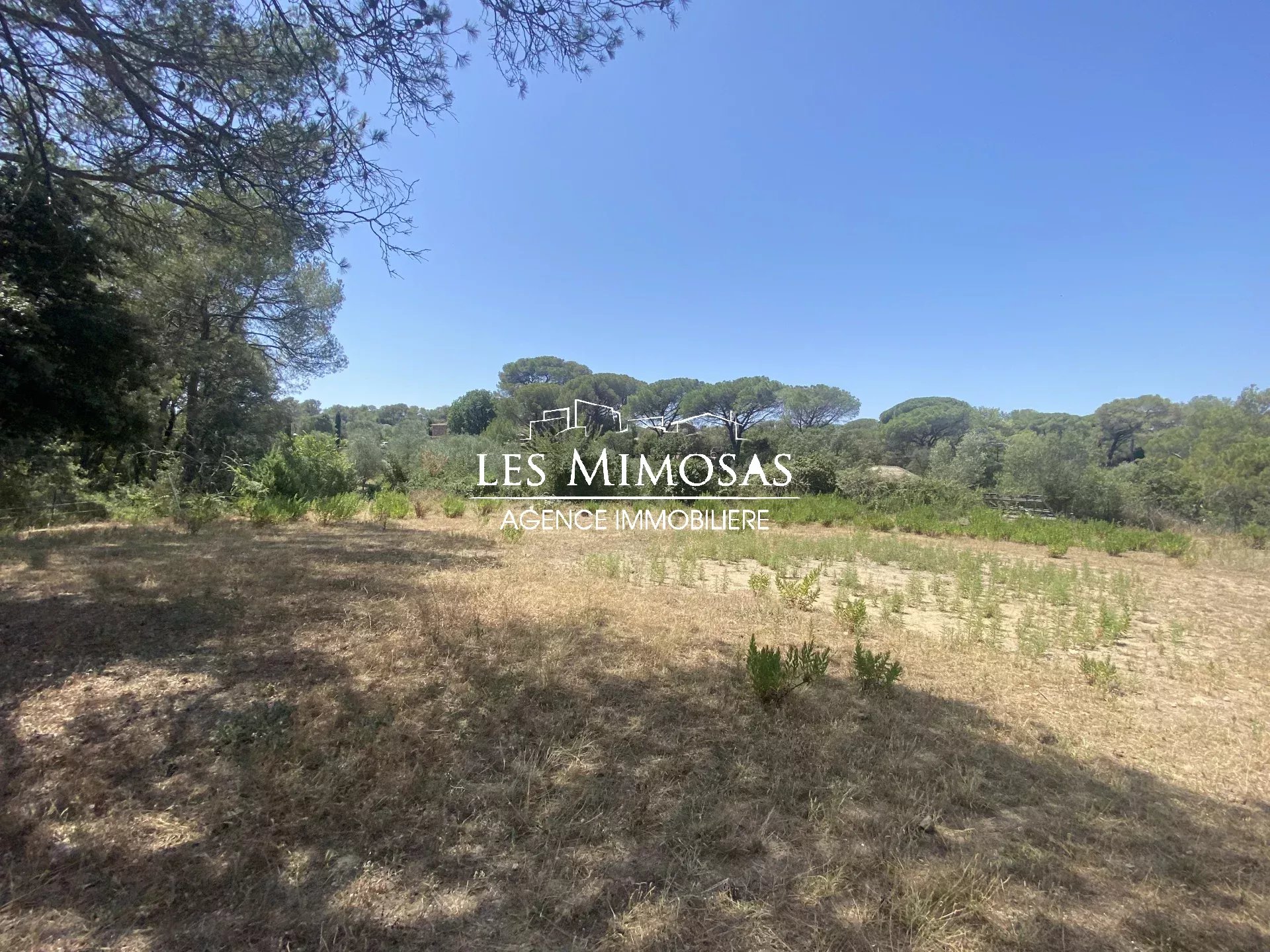 Vente Maison de 288m²  à Roquebrune-sur-Argens
