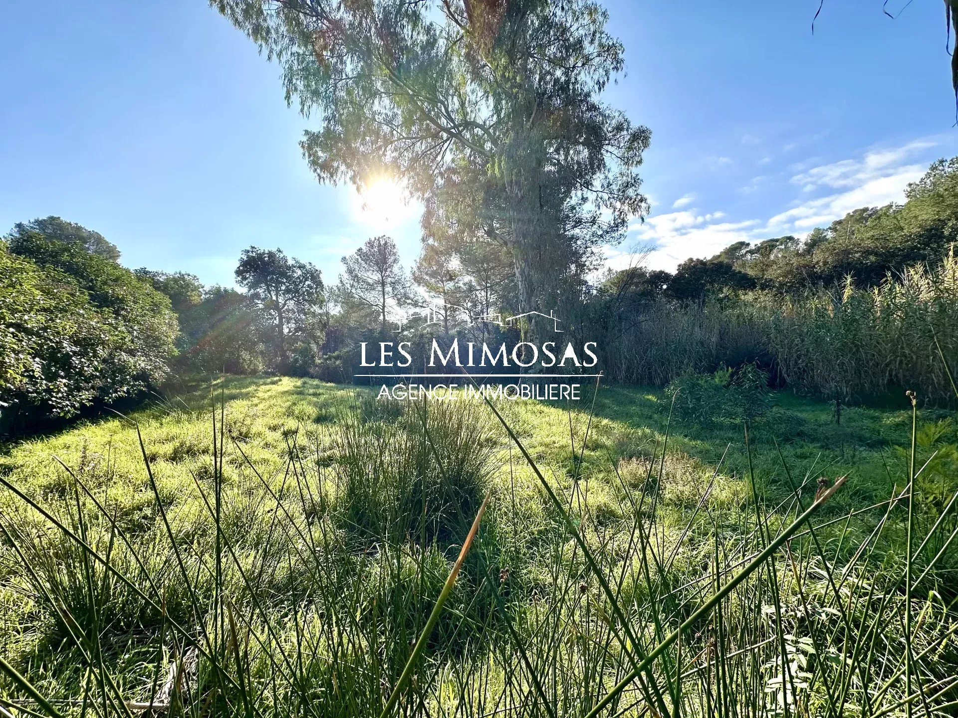 Vente Terrain de 1272m²  à Fréjus