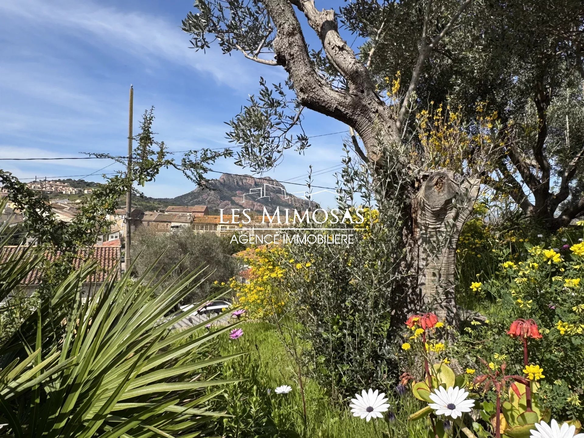 Vente Maison de 125m²  à Roquebrune-sur-Argens